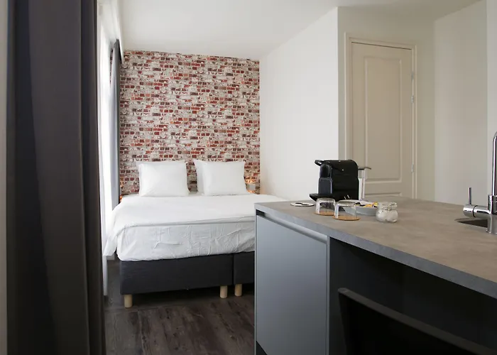 德维特一室公寓 *