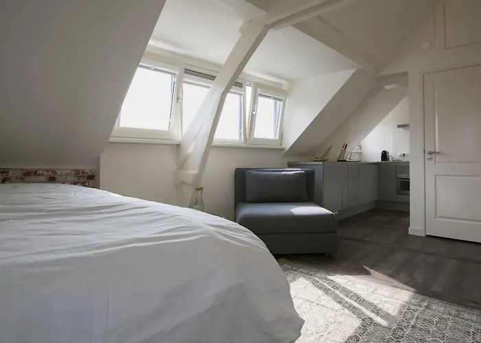 德维特一室公寓 *