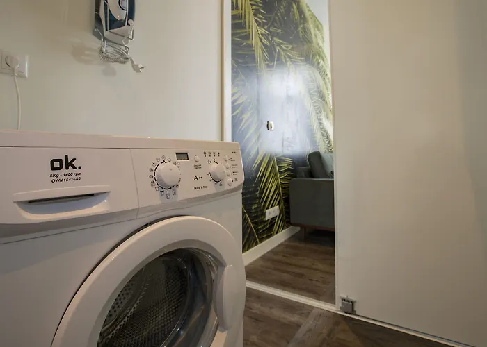 公寓 德维特一室公寓 *