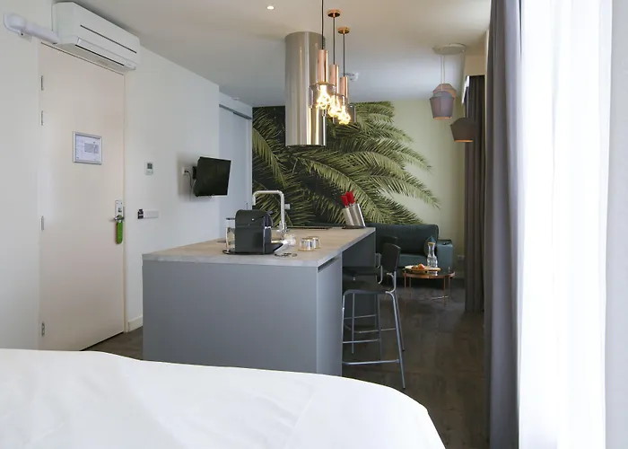 公寓 德维特一室公寓 *