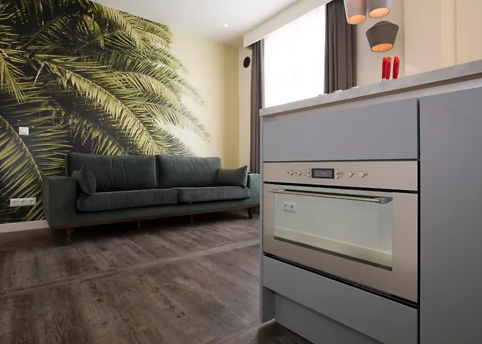 德维特一室公寓 *