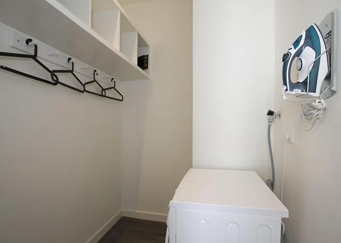 Daire De With Studio's Rotterdam